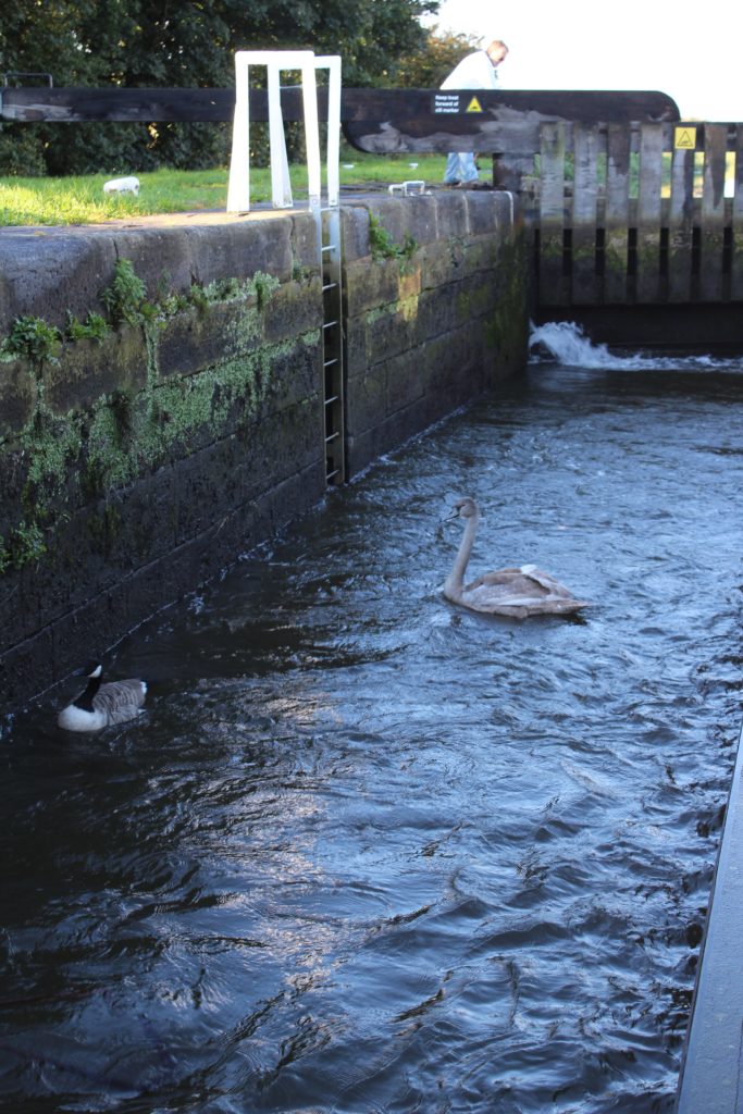 Waiting in the lock....