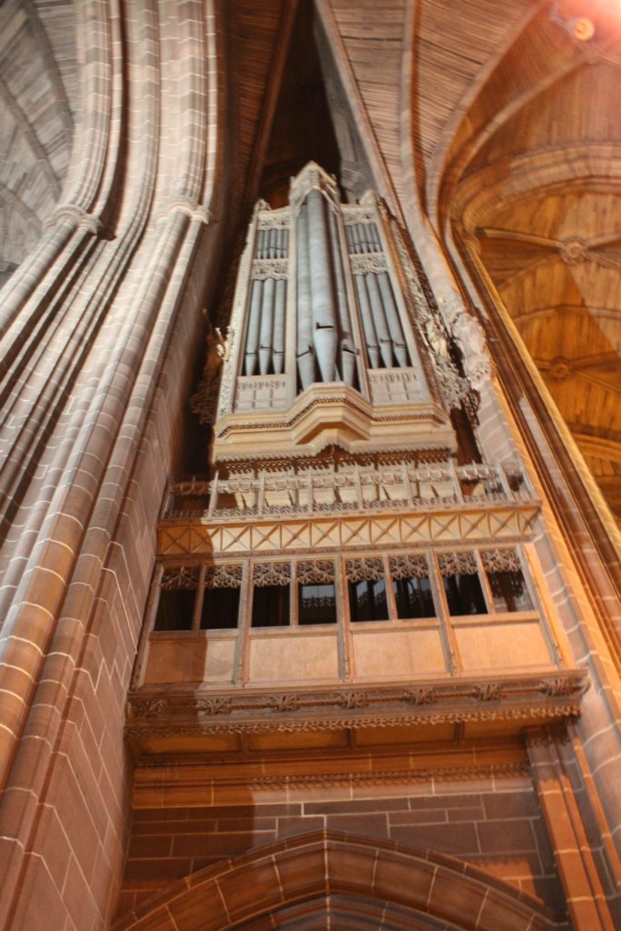 Organ Pipes